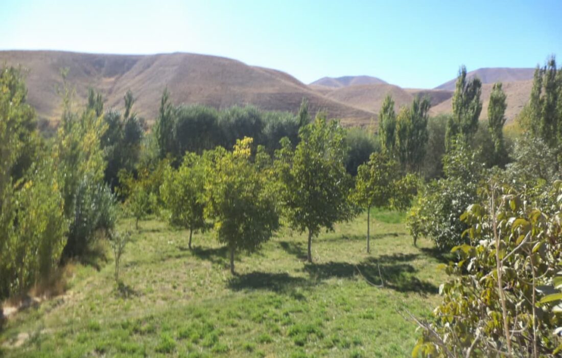 دره اجاق